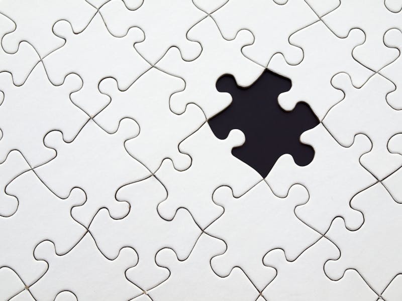 Adult 500pc Puzzle